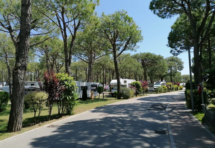 campingstuhl xxl 180 kg HOMECALL Sonnenliege XXL klappbar  5-fach verstellbar mit Sonnenschut   Home-Feeling GmbH