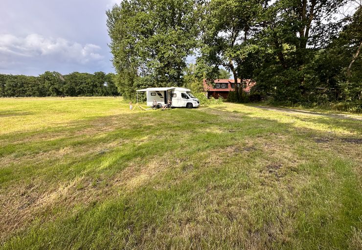 Camping between forest and meadows in Schneverdingen – promobil