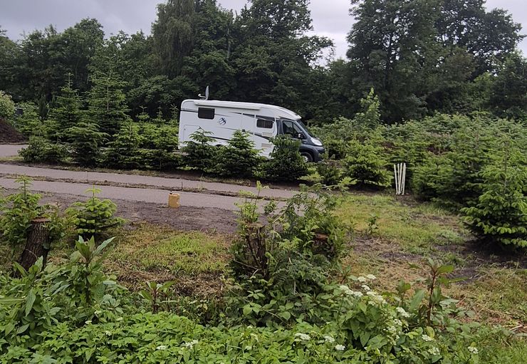 Döscher Tannenhof in Cuxhaven – promobil
